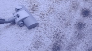 Carpet Cleaning services in Longmont provided by Longmont Cleaning, an eco friendly cleaning service.